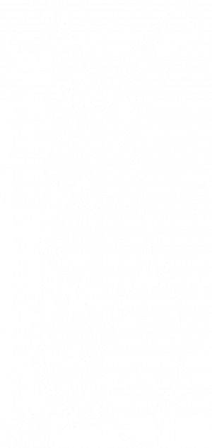 Grafik gezeichneter Hase